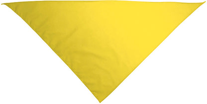 Pack Personalizado Camiseta + Pañuelo