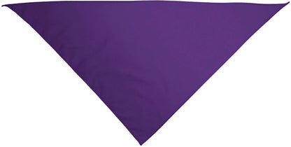 Pack Personalizado Camiseta + Pañuelo